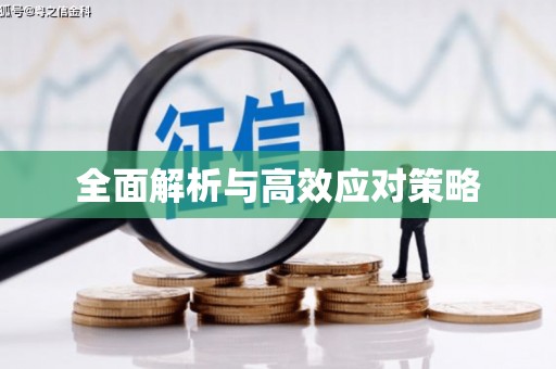 六安全面解析与高效应对策略