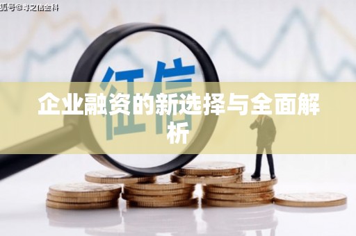 六安企业融资的新选择与全面解析