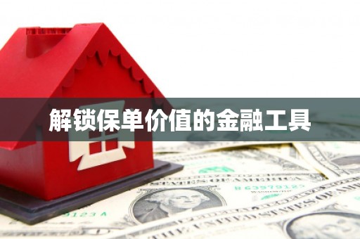 六安解锁保单价值的金融工具