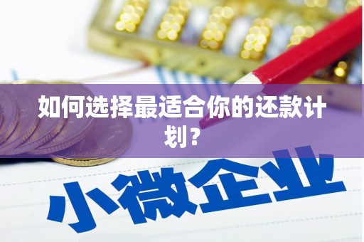 六安如何选择最适合你的还款计划？