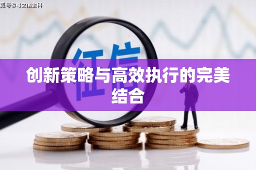 六安创新策略与高效执行的完美结合