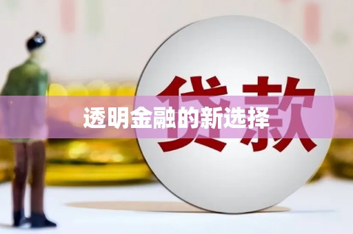 六安透明金融的新选择