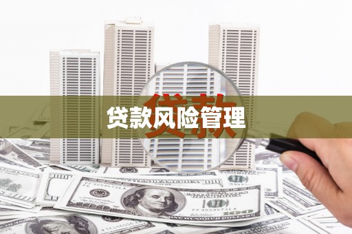 六安贷款风险管理