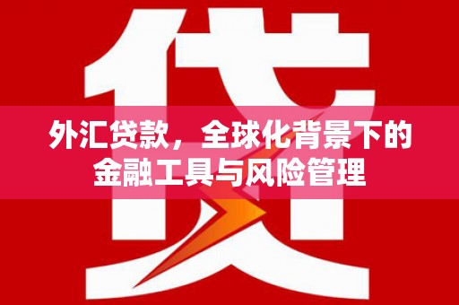 六安外汇贷款，全球化背景下的金融工具与风险管理