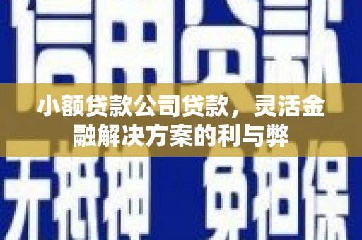 六安小额贷款公司贷款，灵活金融解决方案的利与弊