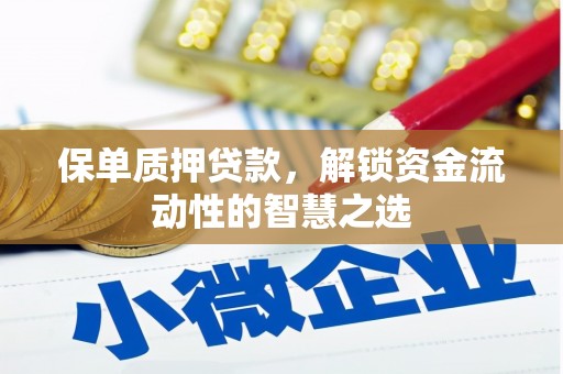 六安保单质押贷款，解锁资金流动性的智慧之选