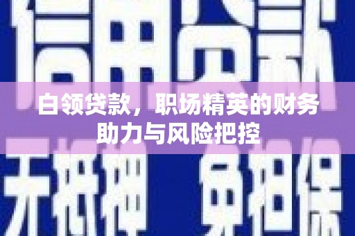 六安白领贷款，职场精英的财务助力与风险把控