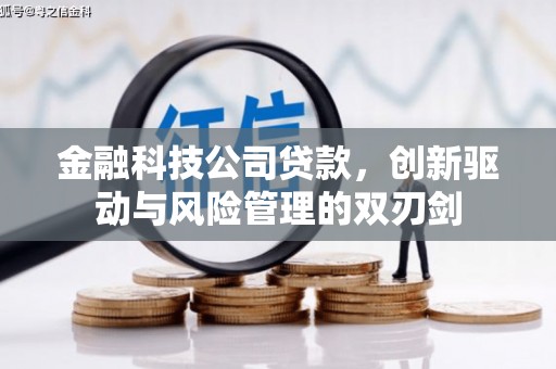 六安金融科技公司贷款，创新驱动与风险管理的双刃剑
